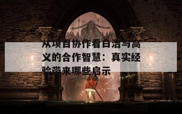 从项目协作看白洁与高义的合作智慧：真实经验带来哪些启示  第1张