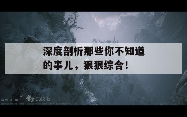 深度剖析那些你不知道的事儿，狠狠综合！