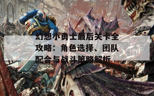 幻想小勇士最后关卡全攻略：角色选择、团队配合与战斗策略解析
