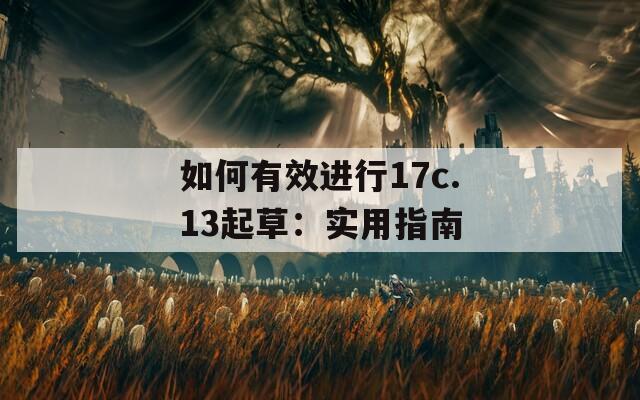 如何有效进行17c.13起草：实用指南