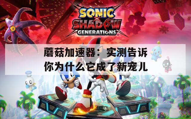 蘑菇加速器：实测告诉你为什么它成了新宠儿