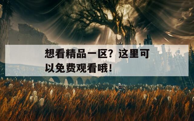 想看精品一区？这里可以免费观看哦！