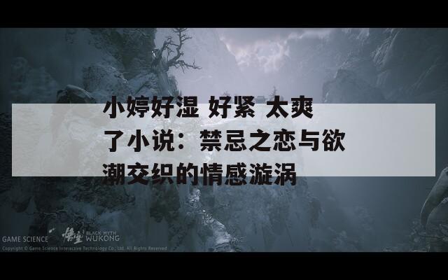 小婷好湿 好紧 太爽了小说：禁忌之恋与欲潮交织的情感漩涡