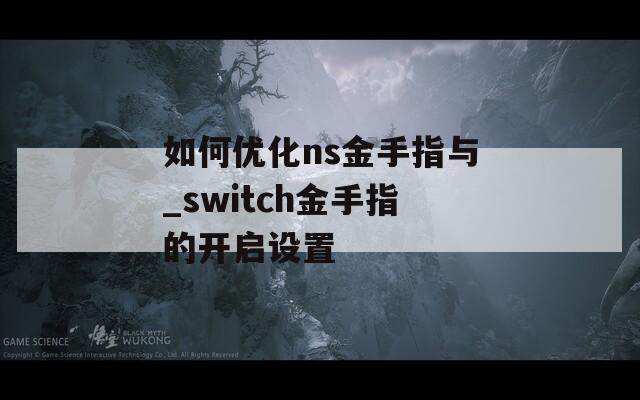 如何优化ns金手指与_switch金手指的开启设置