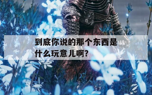 到底你说的那个东西是什么玩意儿啊？