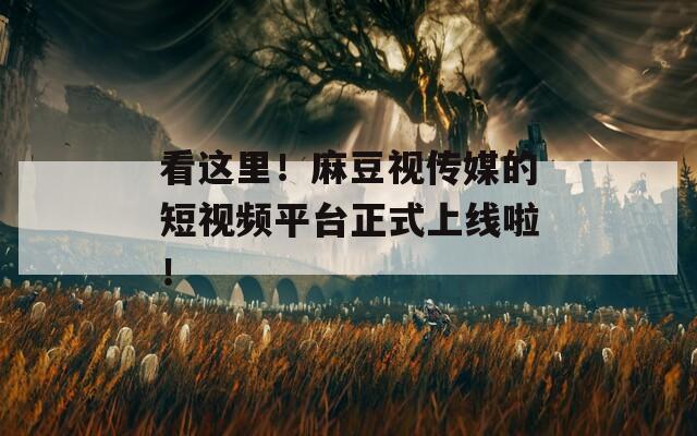 看这里！麻豆视传媒的短视频平台正式上线啦！