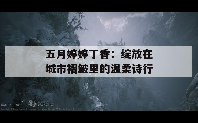 五月婷婷丁香：绽放在城市褶皱里的温柔诗行