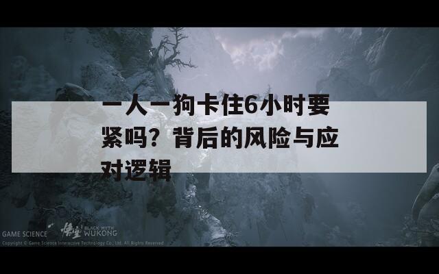 一人一狗卡住6小时要紧吗？背后的风险与应对逻辑