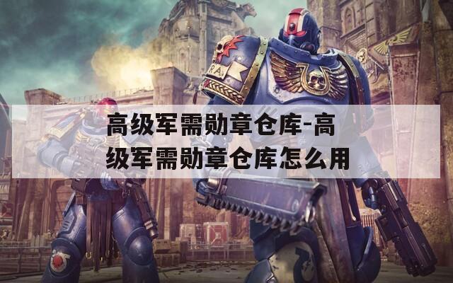 高级军需勋章仓库-高级军需勋章仓库怎么用