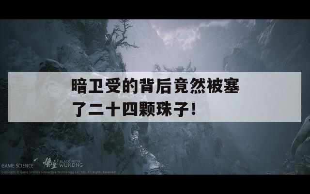 暗卫受的背后竟然被塞了二十四颗珠子！
