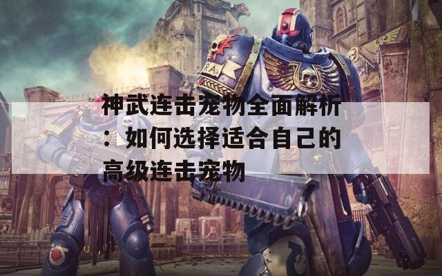 神武连击宠物全面解析：如何选择适合自己的高级连击宠物