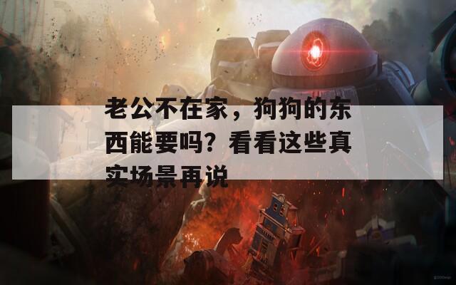 老公不在家，狗狗的东西能要吗？看看这些真实场景再说