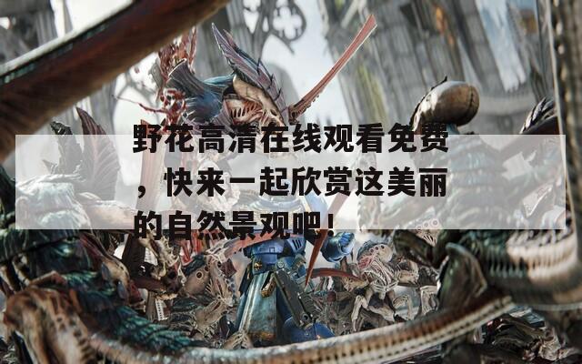 野花高清在线观看免费，快来一起欣赏这美丽的自然景观吧！