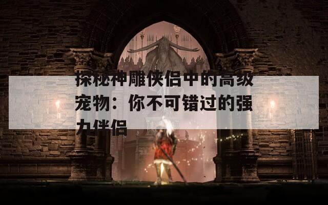 探秘神雕侠侣中的高级宠物：你不可错过的强力伴侣