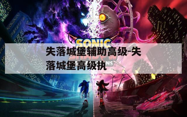 失落城堡辅助高级-失落城堡高级执
