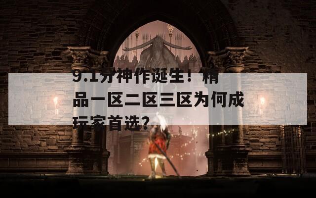 9.1分神作诞生！精品一区二区三区为何成玩家首选？