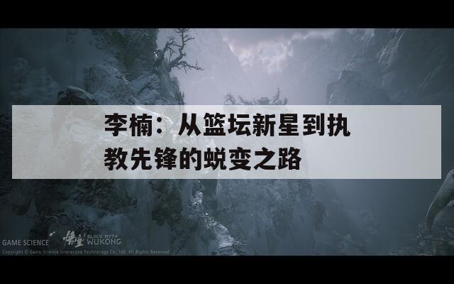 李楠：从篮坛新星到执教先锋的蜕变之路