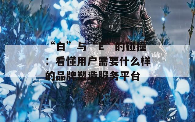 “白”与“E”的碰撞：看懂用户需要什么样的品牌塑造服务平台  第1张