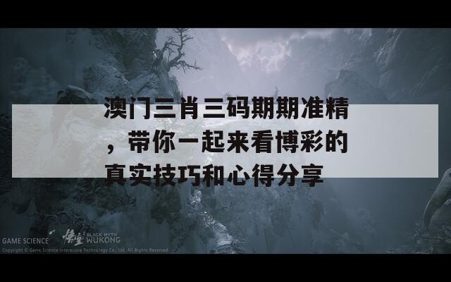 澳门三肖三码期期准精，带你一起来看博彩的真实技巧和心得分享  第1张