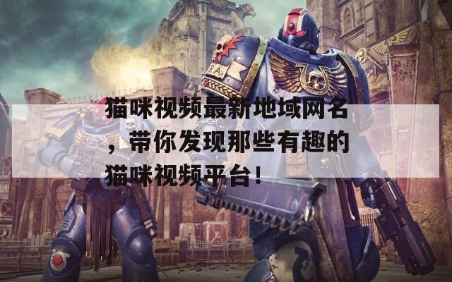 猫咪视频最新地域网名，带你发现那些有趣的猫咪视频平台！  第1张