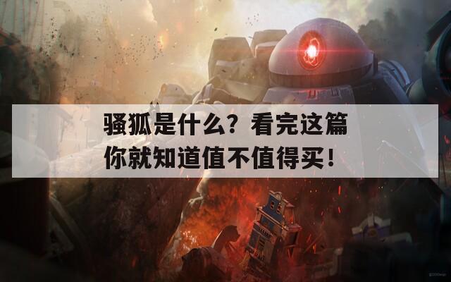 骚狐是什么？看完这篇你就知道值不值得买！  第1张