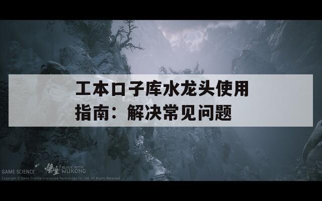 工本口子库水龙头使用指南：解决常见问题  第1张