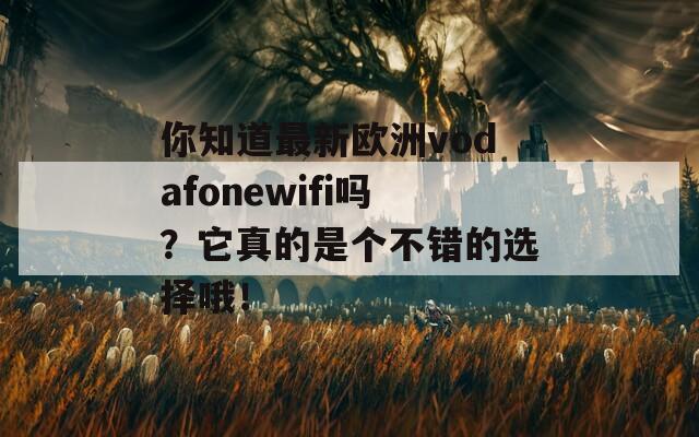 你知道最新欧洲vodafonewifi吗？它真的是个不错的选择哦！  第1张