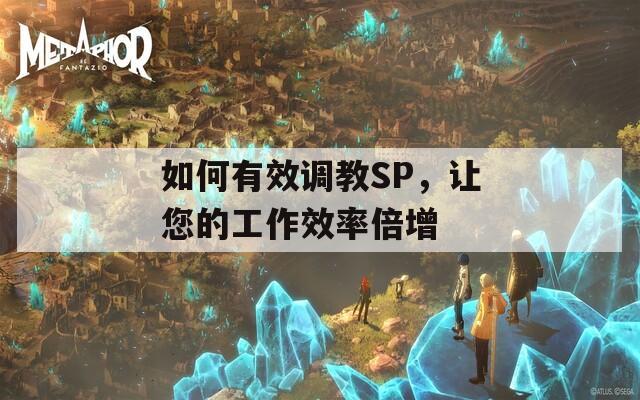 如何有效调教SP，让您的工作效率倍增