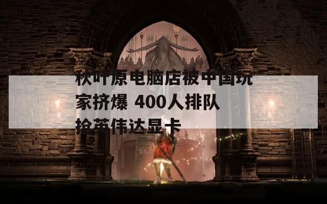 秋叶原电脑店被中国玩家挤爆 400人排队抢英伟达显卡  第1张