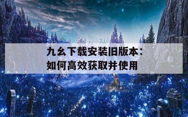 九幺下载安装旧版本：如何高效获取并使用  第1张