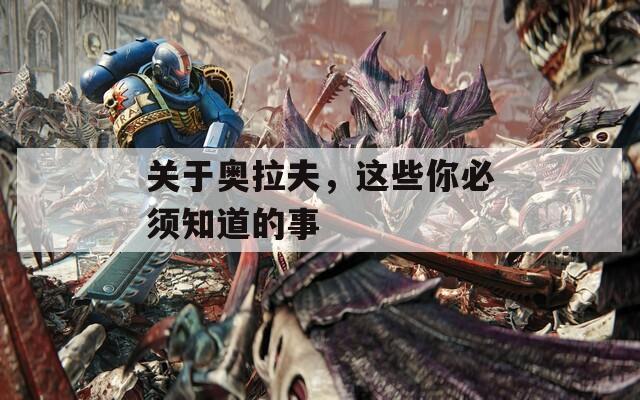 关于奥拉夫，这些你必须知道的事  第1张