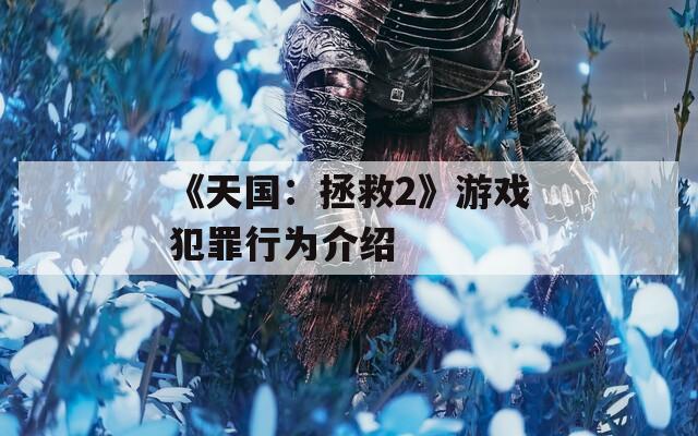 《天国：拯救2》游戏犯罪行为介绍  第1张