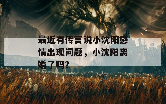 最近有传言说小沈阳感情出现问题，小沈阳离婚了吗？  第1张