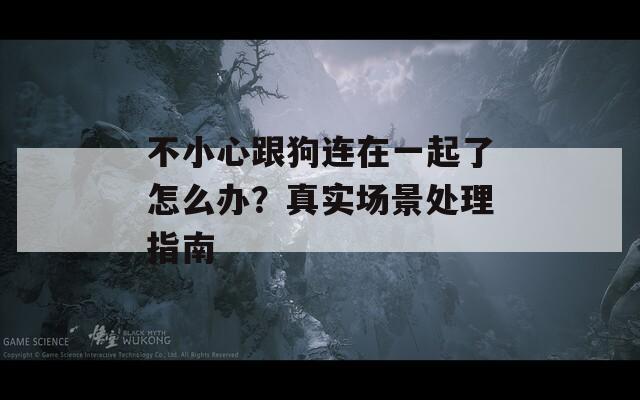 不小心跟狗连在一起了怎么办？真实场景处理指南  第1张