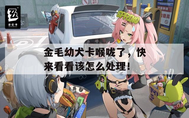 金毛幼犬卡喉咙了，快来看看该怎么处理！  第1张