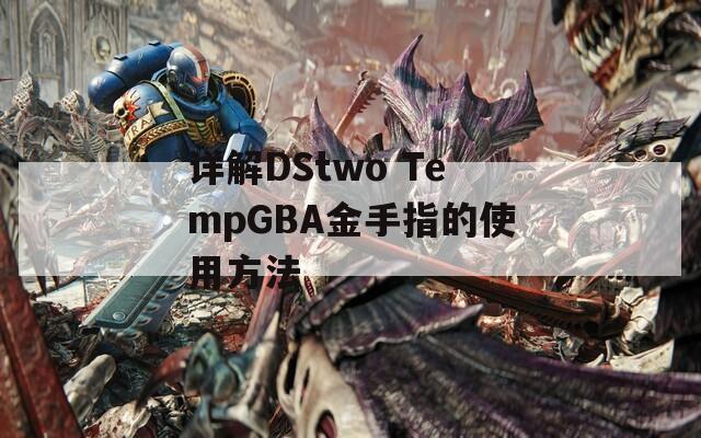 详解DStwo TempGBA金手指的使用方法  第1张