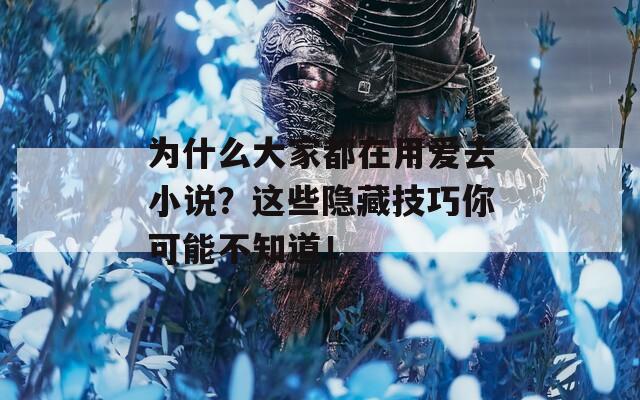 为什么大家都在用爱去小说？这些隐藏技巧你可能不知道！