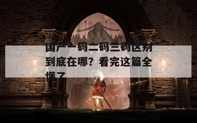 国产一码二码三码区别到底在哪？看完这篇全懂了  第1张