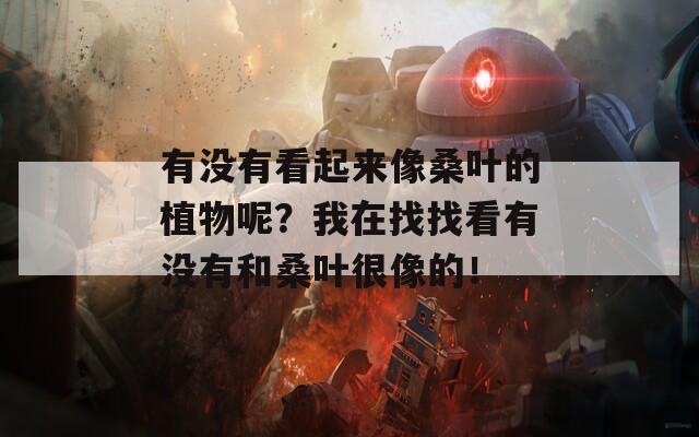 有没有看起来像桑叶的植物呢？我在找找看有没有和桑叶很像的！  第1张