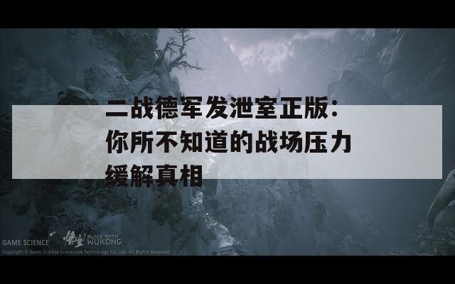 二战德军发泄室正版：你所不知道的战场压力缓解真相