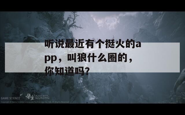 听说最近有个挺火的app，叫狼什么圈的，你知道吗？  第1张