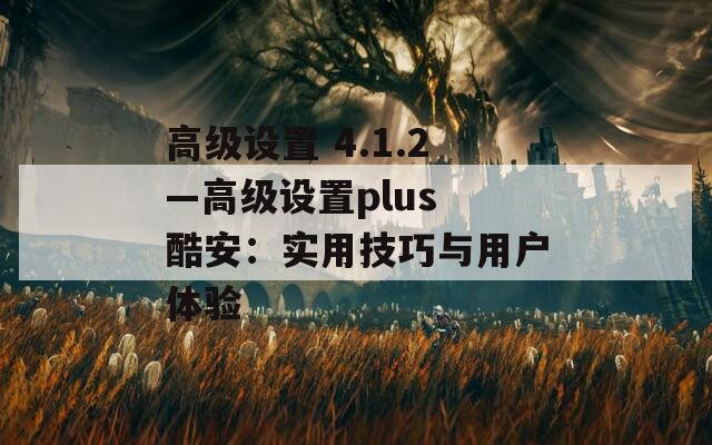 高级设置 4.1.2—高级设置plus 酷安：实用技巧与用户体验  第1张