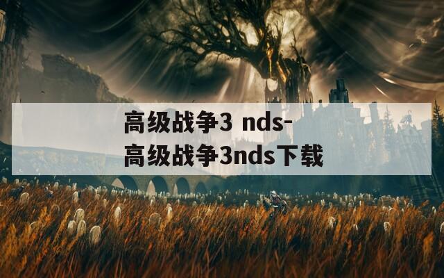 高级战争3 nds-高级战争3nds下载