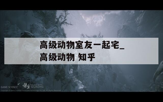 高级动物室友一起宅_高级动物 知乎