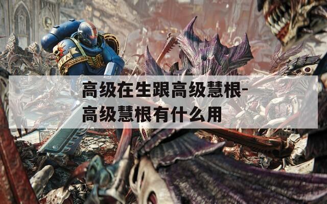 高级在生跟高级慧根-高级慧根有什么用  第1张
