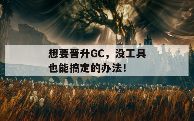 想要晋升GC，没工具也能搞定的办法！  第1张