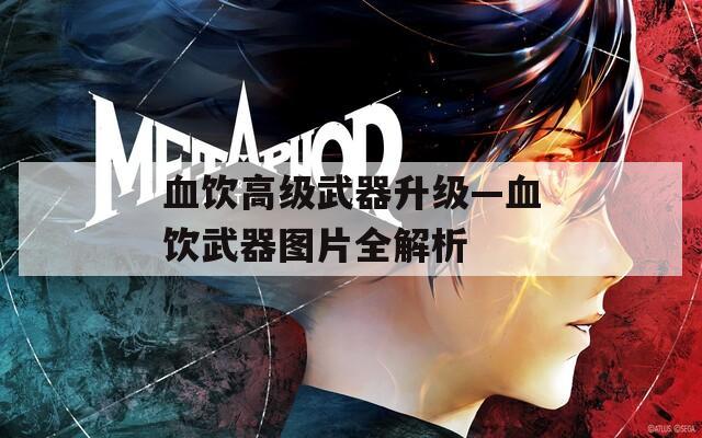 血饮高级武器升级—血饮武器图片全解析