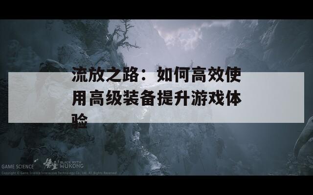 流放之路：如何高效使用高级装备提升游戏体验  第1张