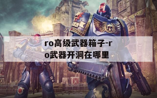 ro高级武器箱子-ro武器开洞在哪里  第1张