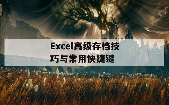 Excel高级存档技巧与常用快捷键  第1张